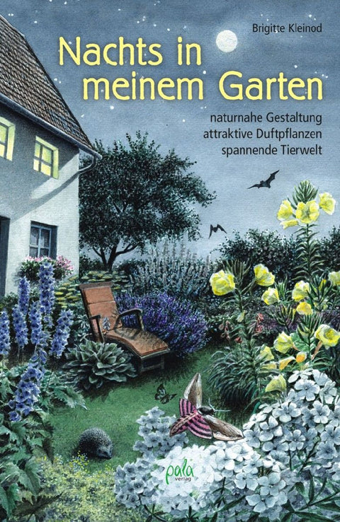 Nachts in meinem Garten
