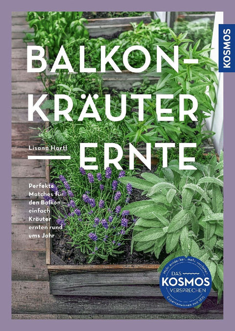 Balkon-Kräuter-Ernte