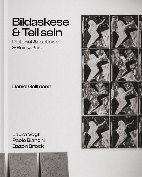 Daniel Gallmann