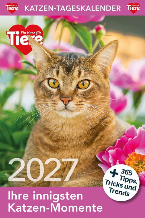 Katzen Tageskalender 2027