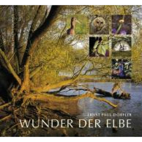 Wunder der Elbe