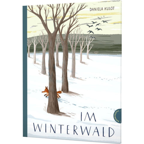 Im Winterwald