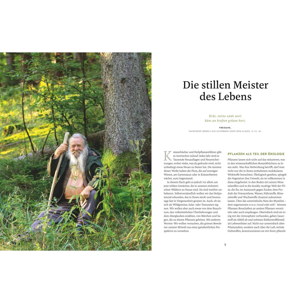 B00000003921557.jpg