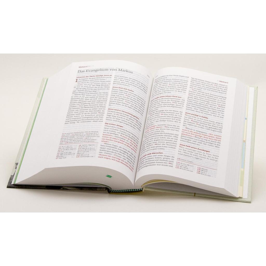 B00000003925256.jpg
