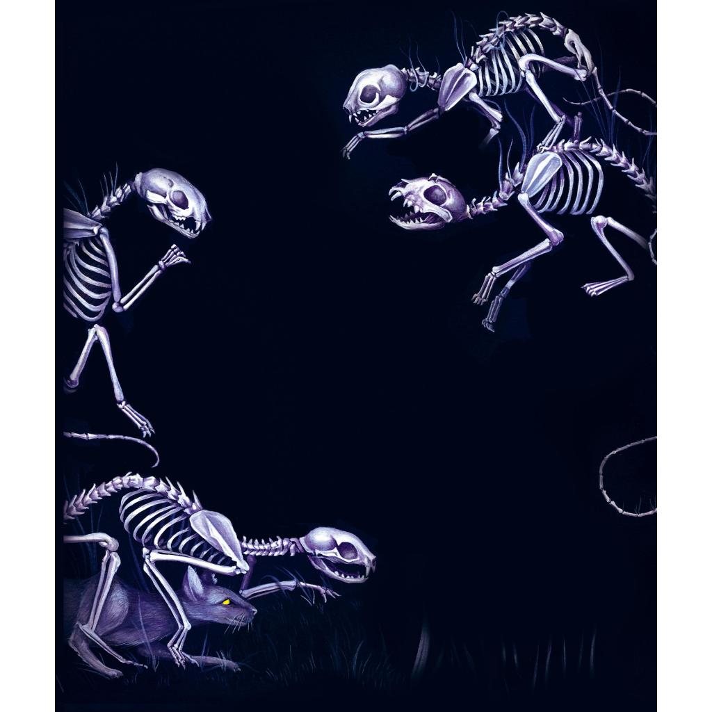 B00000004449994.jpg
