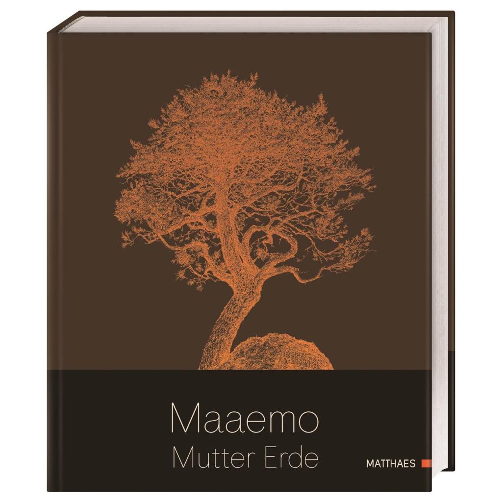B00000004731256.jpg