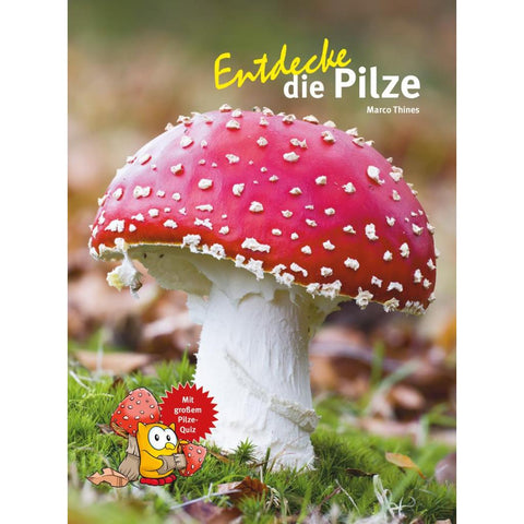 Entdecke die Pilze