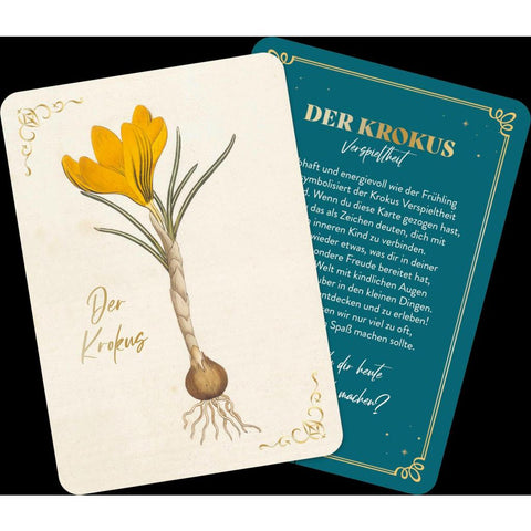 Die geheimnisvolle Sprache der Blumen - 50 Orakelkarten für das ganze Jahr