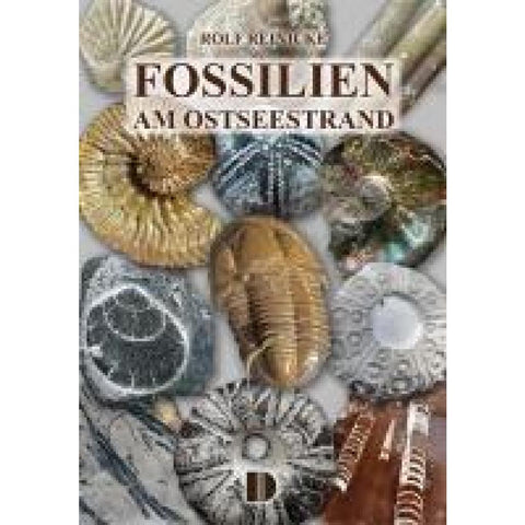 Fossilien am Ostseestrand
