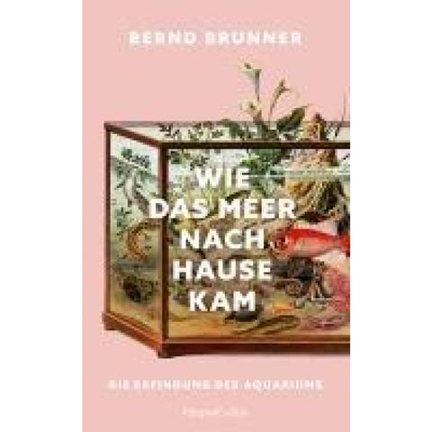 Wie das Meer nach Hause kam. Die Erfindung des Aquariums