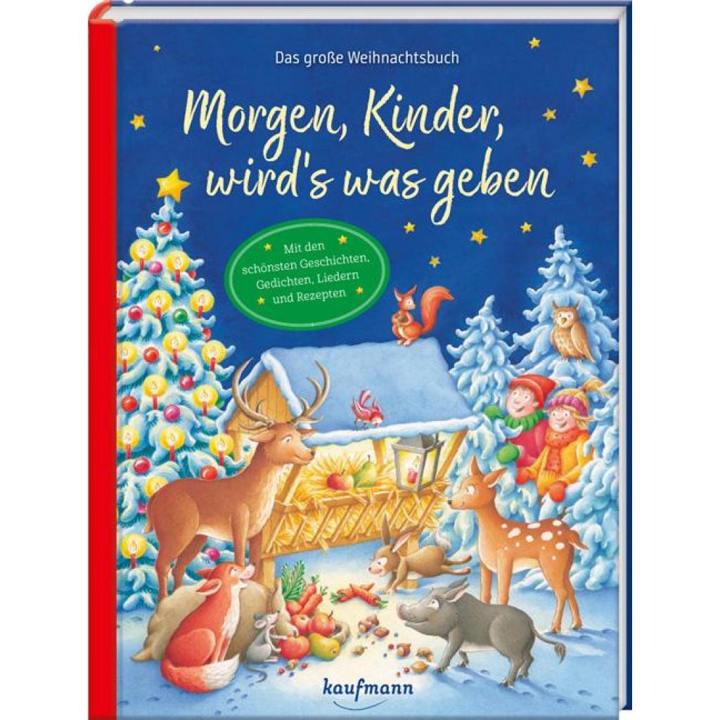 B00000008044795.jpg