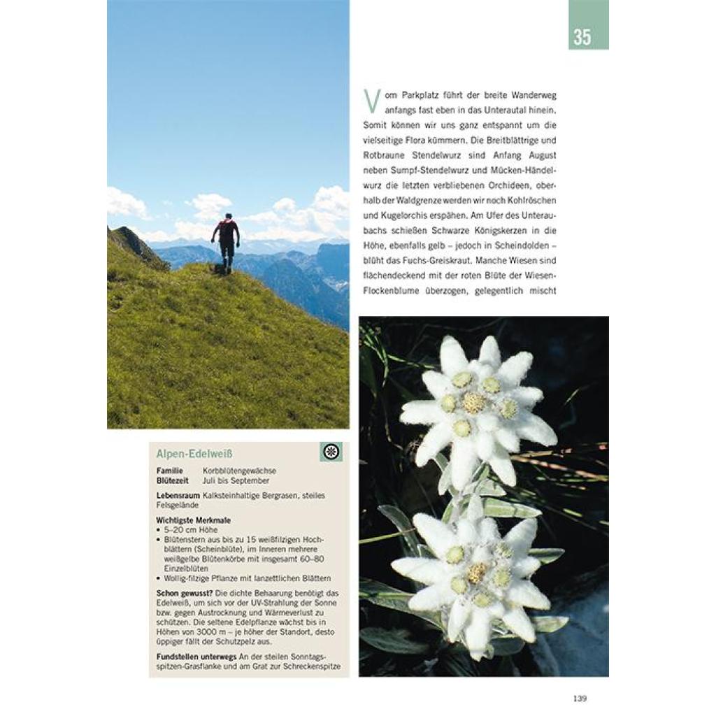 B00000008069526.jpg