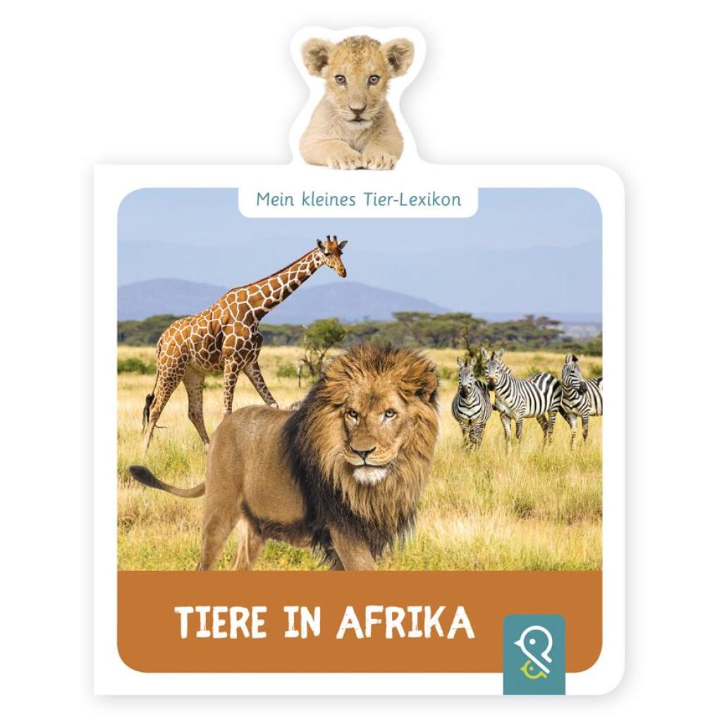 B00000008113284.jpg