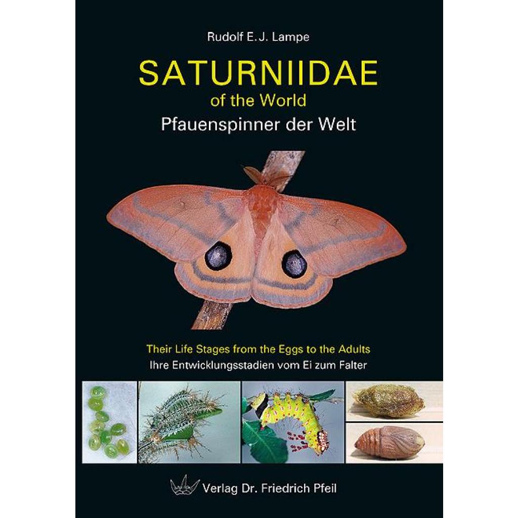 B00000008278561.jpg