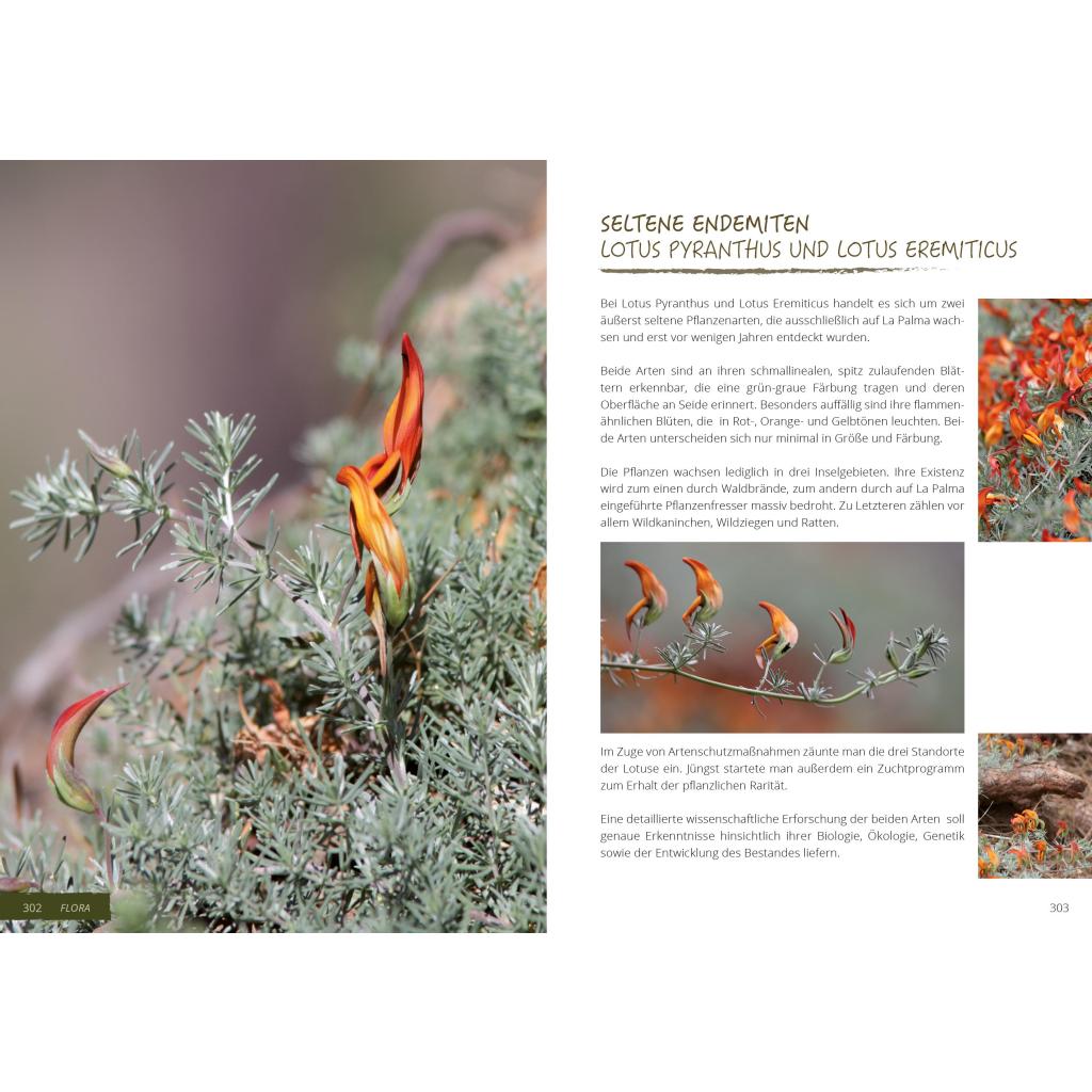 B00000008287886.jpg