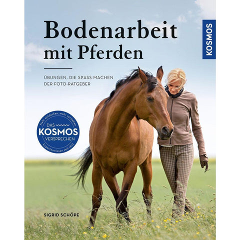 Bodenarbeit mit Pferden