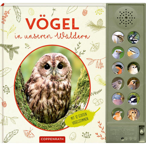 Vögel in unseren Wäldern