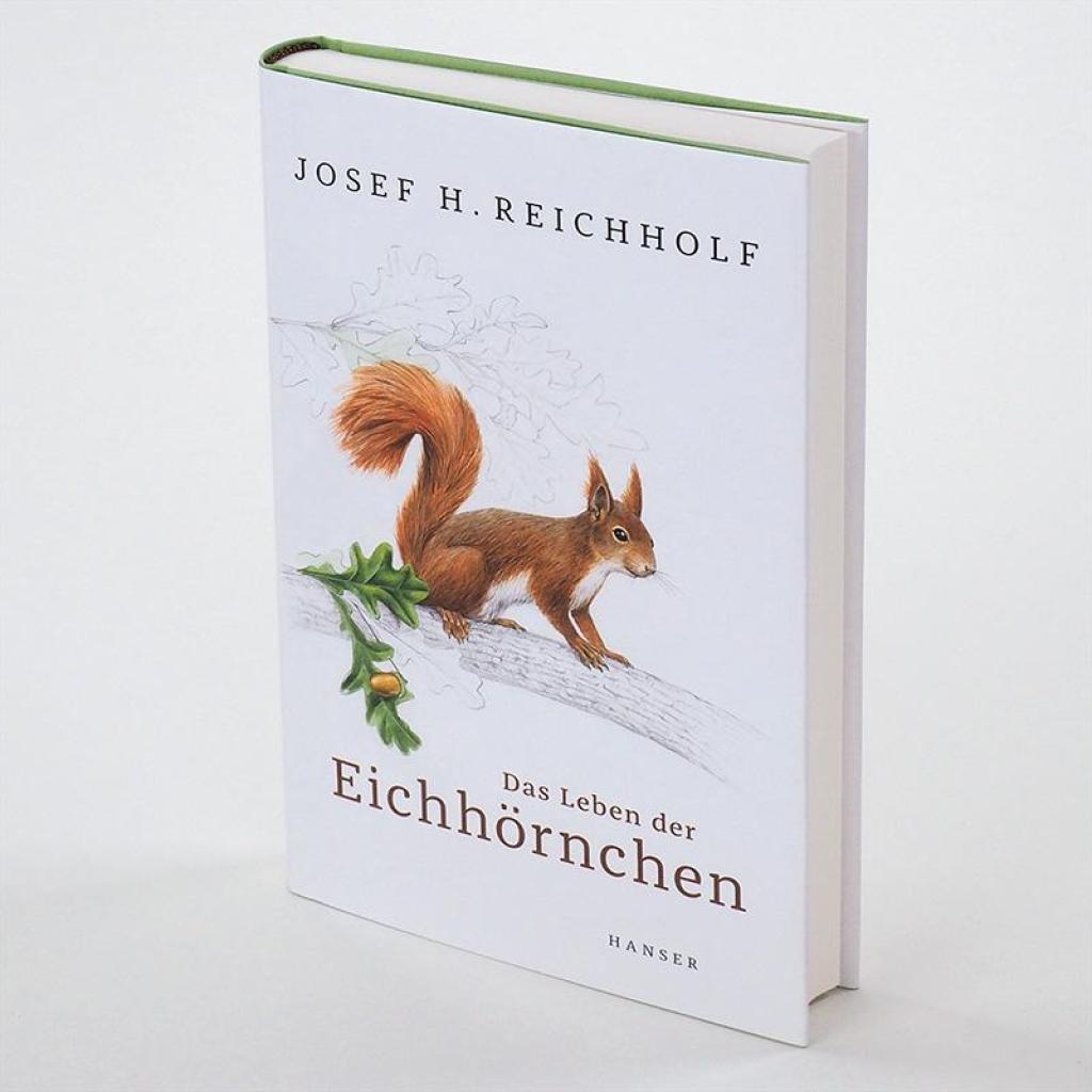 B00000009100969.jpg