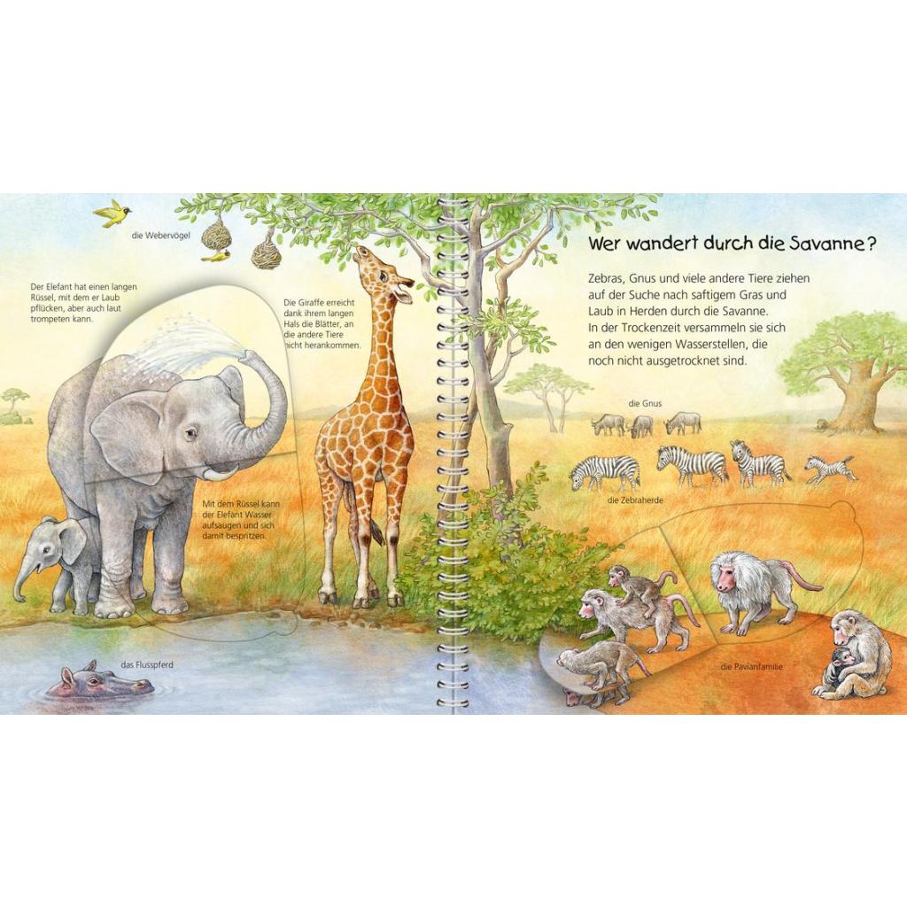 B00000009110682.jpg