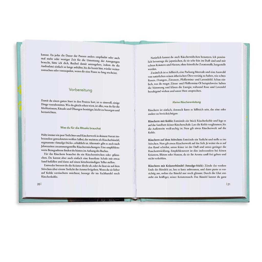 B00000009199100.jpg