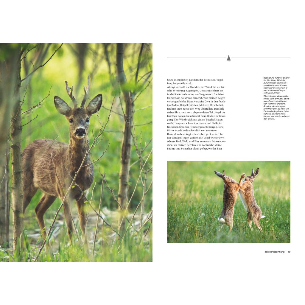 B00000009199488.jpg