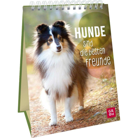 Hunde sind die besten Freunde