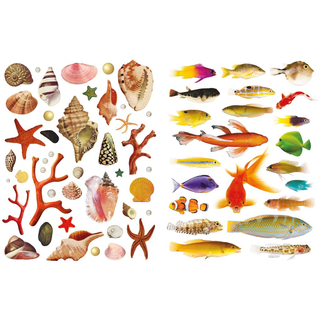 B00000009285524.jpg