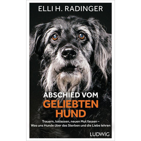 Abschied vom geliebten Hund