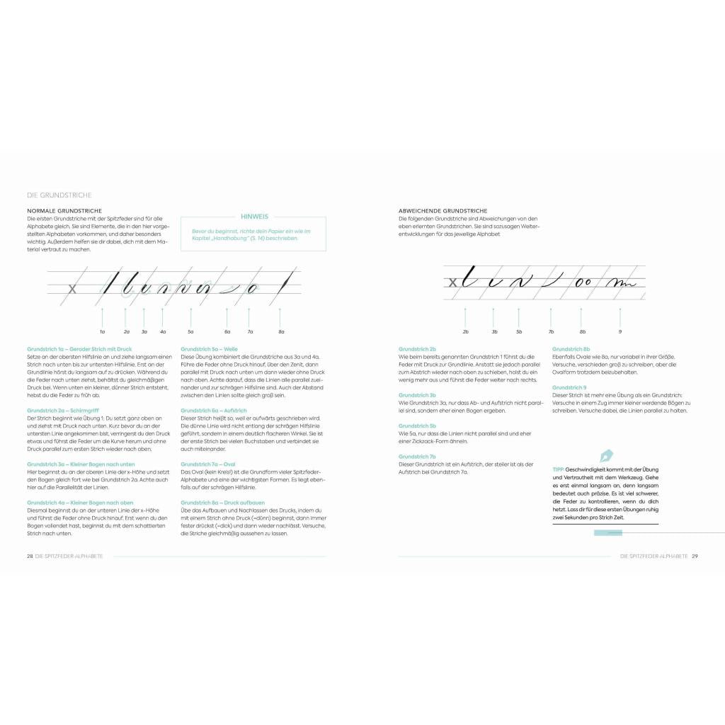B00000010191639.jpg