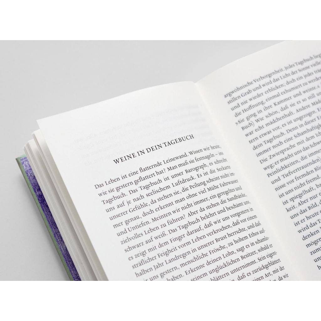 B00000011249204.jpg