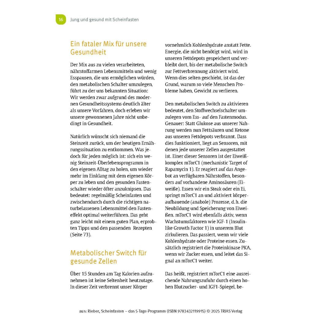 B00000012535616.jpg