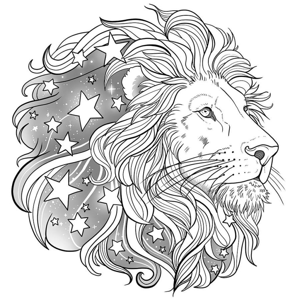B00000012752620.jpg