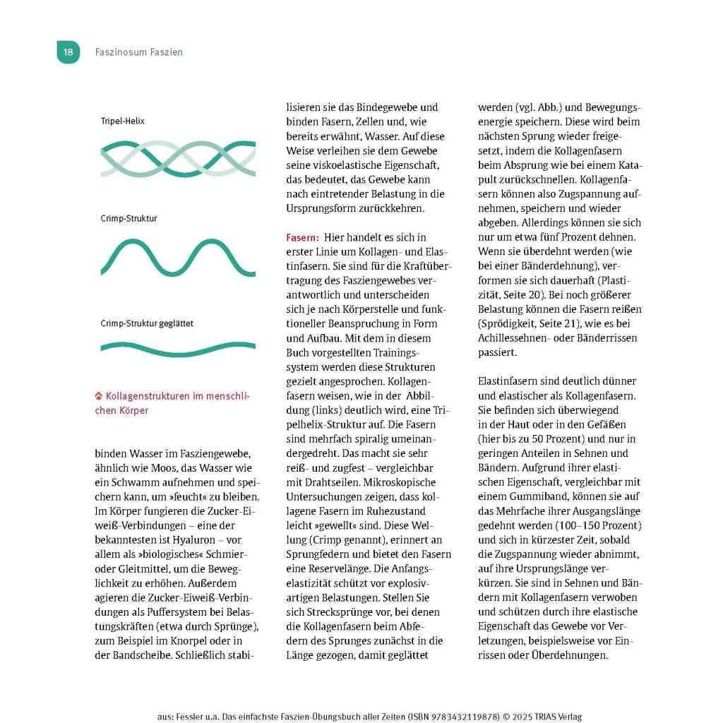 B00000013430472.jpg