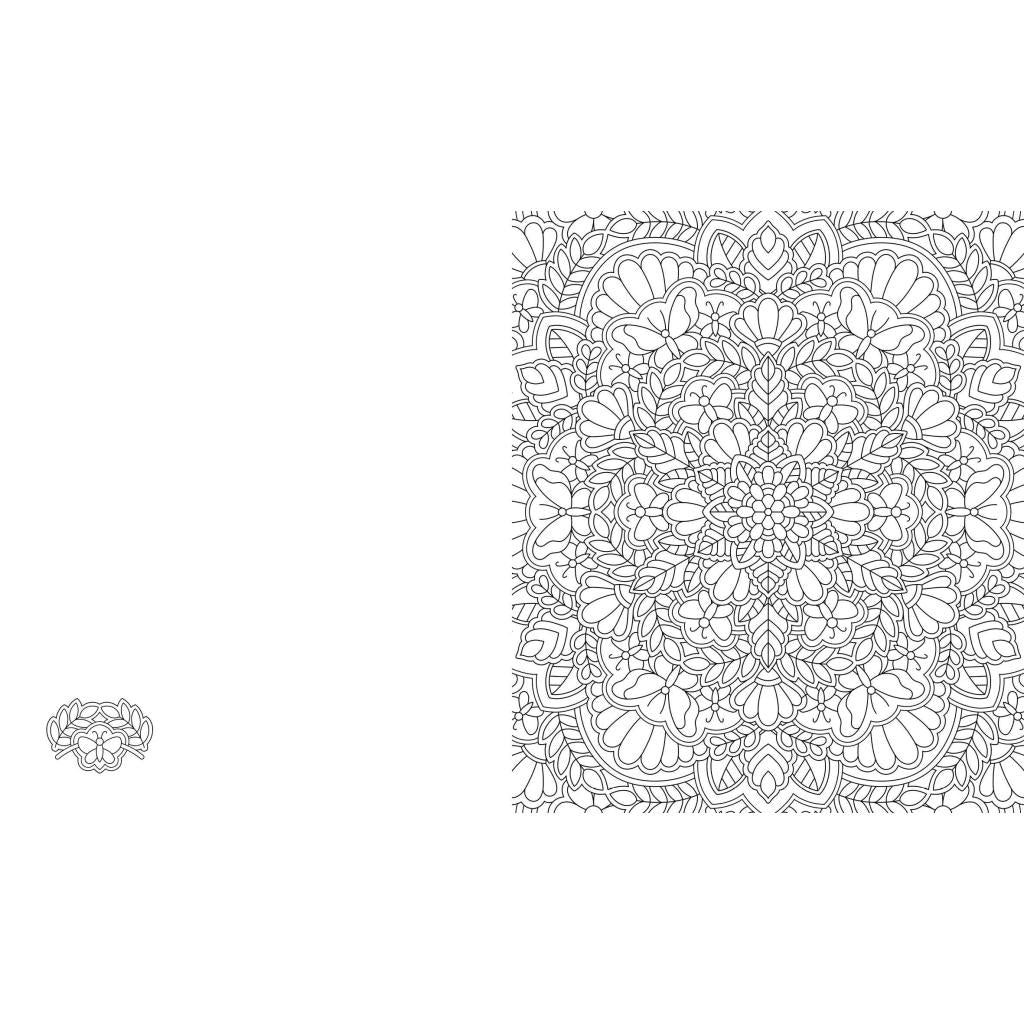 B00000013894172.jpg