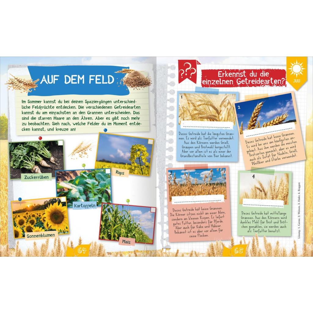 B00000013947131.jpg