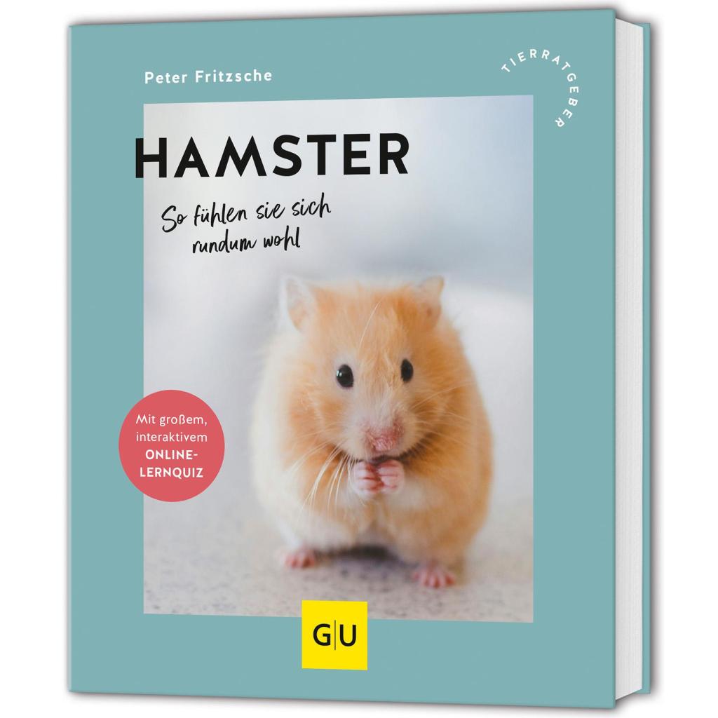 B00000014031597.jpg