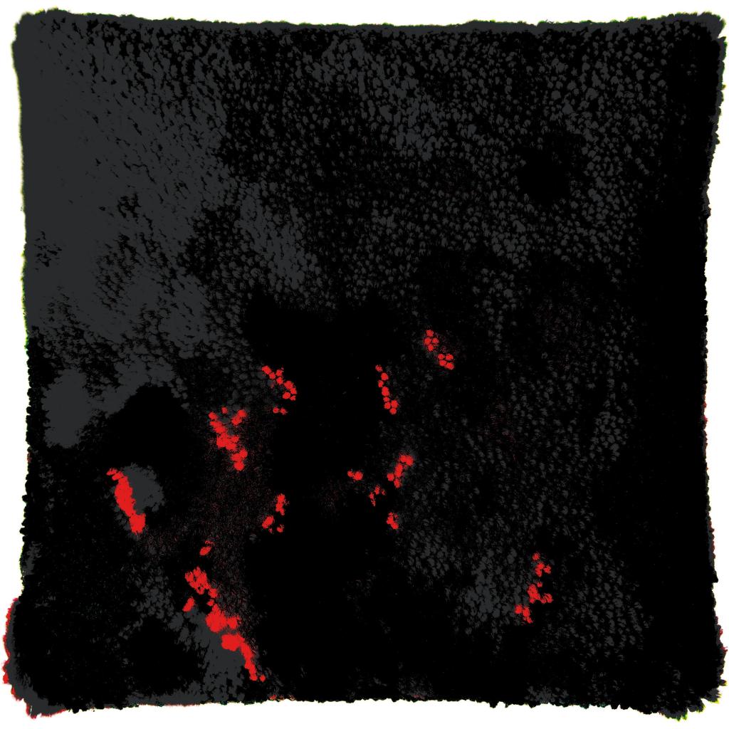 B00000016351085.jpg