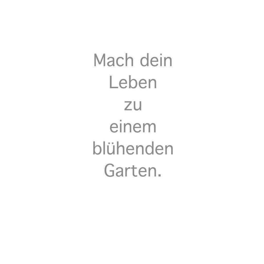 B00000019279331.jpg