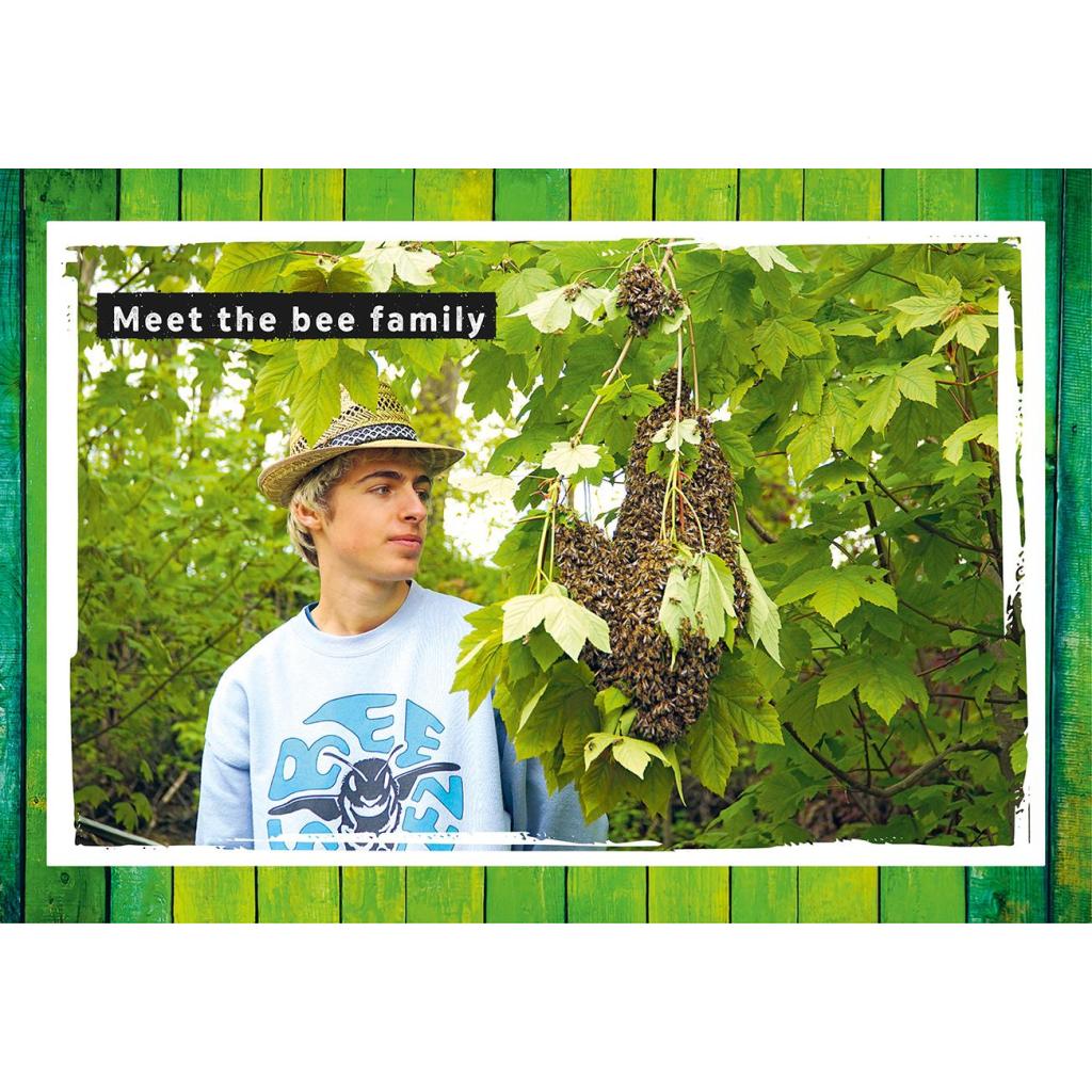 B00000019399718.jpg