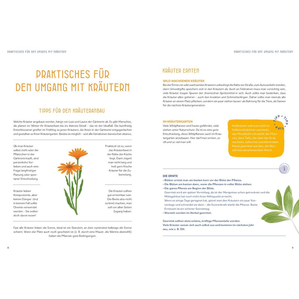 B00000020137262.jpg
