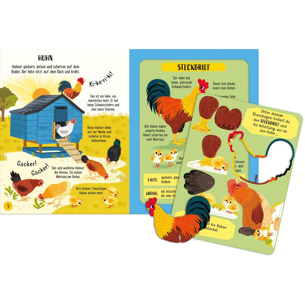 B00000024591931.jpg