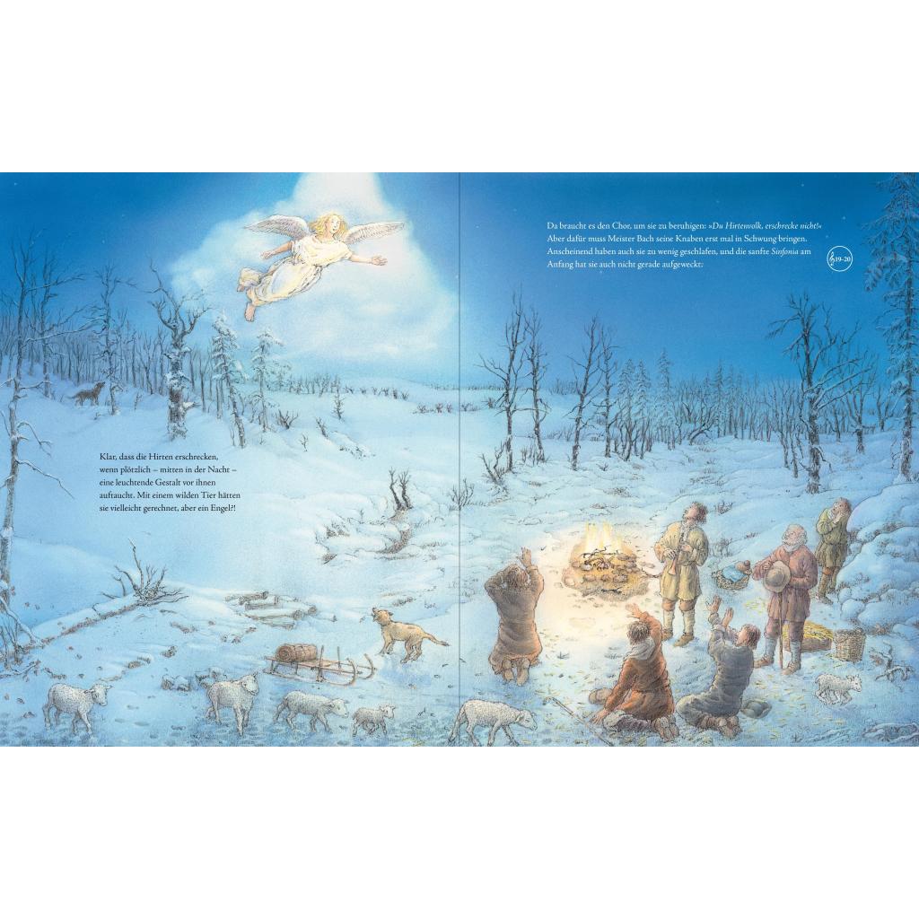 B00000026380238.jpg