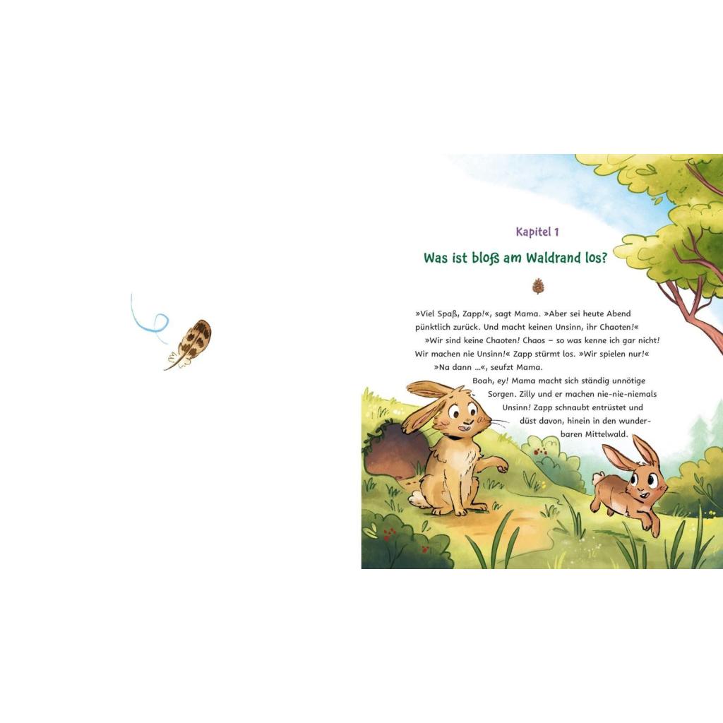 B00000035202897.jpg