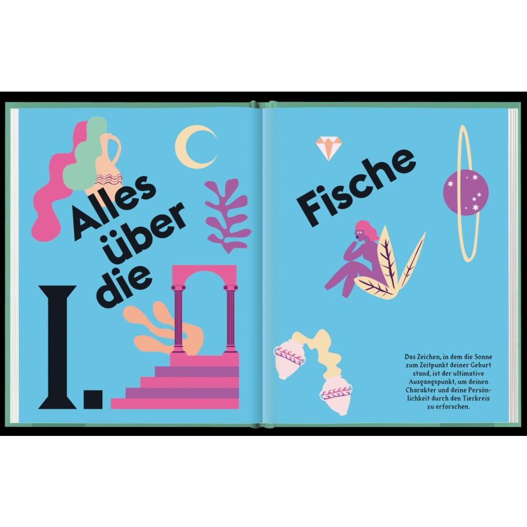 B00000039168667.jpg
