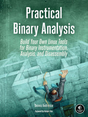 Practical Binary Analysis