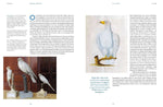 Vogelwelten (Innenansicht)