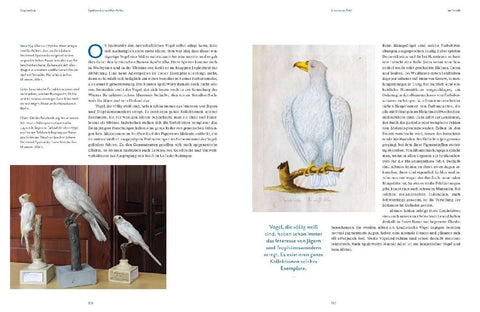 Vogelwelten