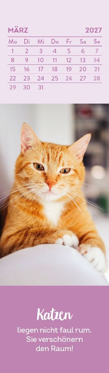 Lesezeichenkalender 2027: Katzenfreunde