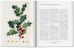 A Garden Eden. Masterpieces of Botanical Illustration (Innenansicht)