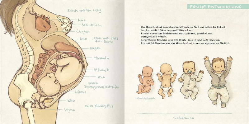 Der MüffFloh (Innenansicht)